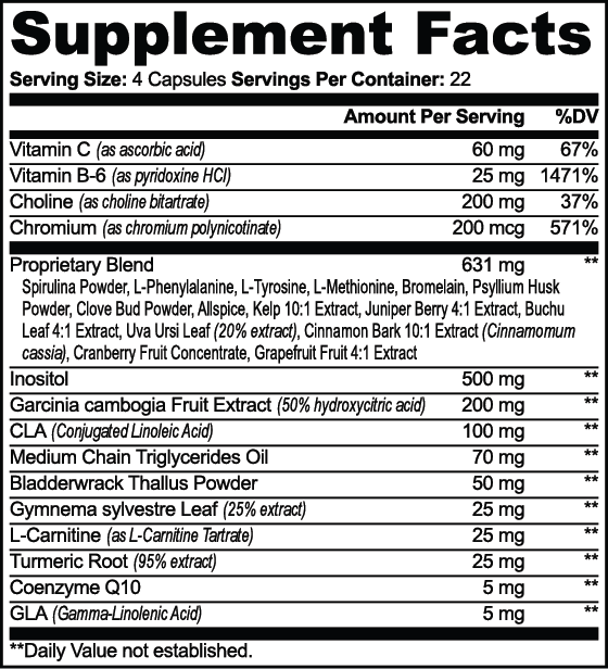 IgniteBurn metabolism booster